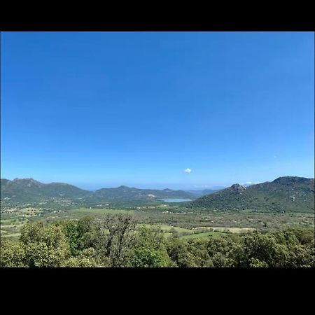 Villa T4 Terrasse Vue Sur Mer Muro (Corsica) 外观 照片