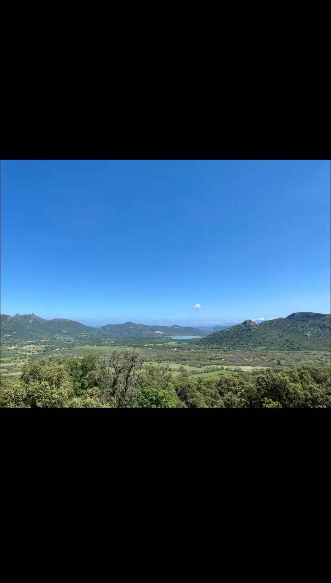 Villa T4 Terrasse Vue Sur Mer Muro (Corsica) 外观 照片